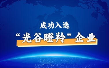 喜报 | 时波网络入选2024年度“光谷瞪羚”企业